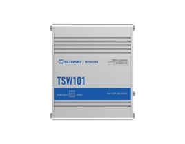 TSW101